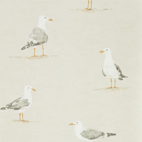 Shore Birds 216563